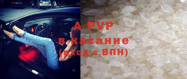 СК Алзамай